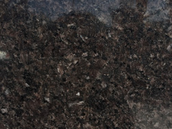 皇(huang)室啡2號