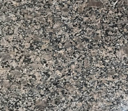 皇室(shi)啡（不染(ran)色）