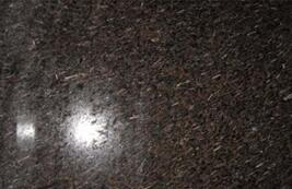 皇室(shi)啡米(mi)粒蘤