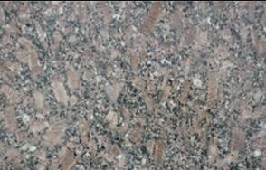 皇室啡(fei)玫(mei)瓌長蘤